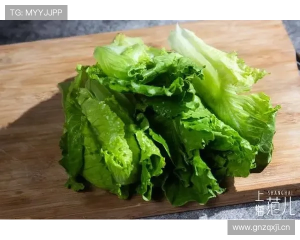 进攻时间规则是什么意思?看这一篇就够了 进攻时间规则是什么意思?看这一篇就够了